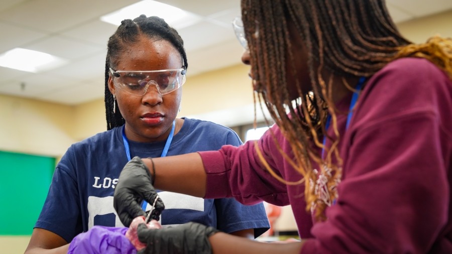 Black Excellence in Science