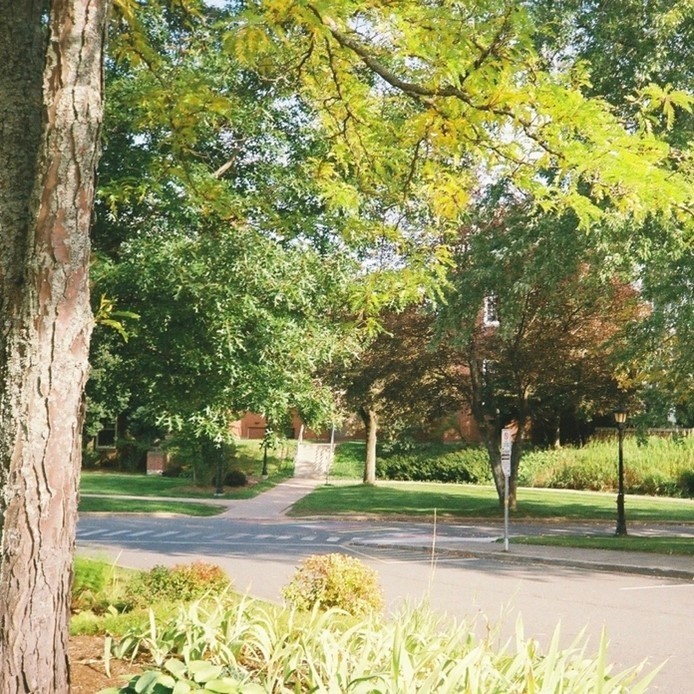 A trail in a park