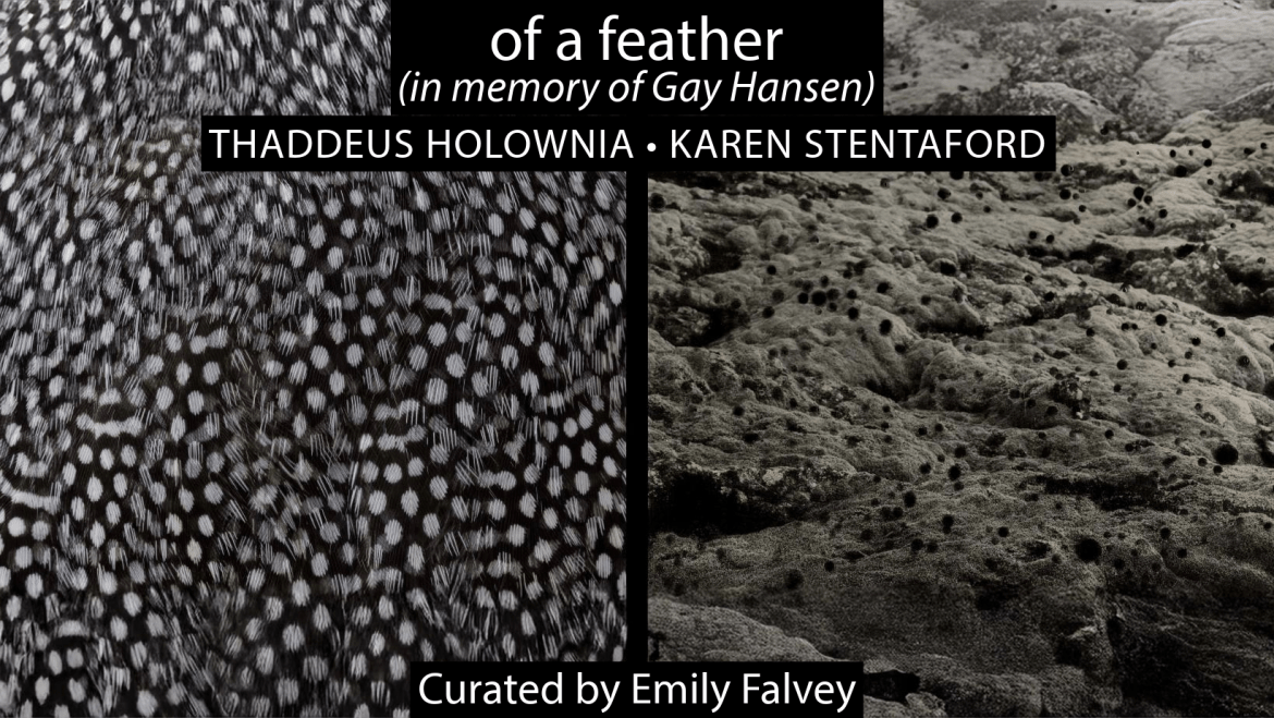 of a feather exhibit banner