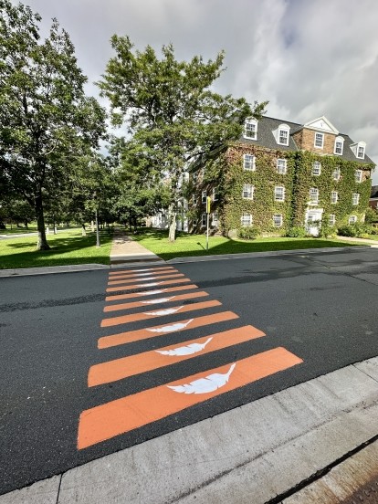 crosswalk