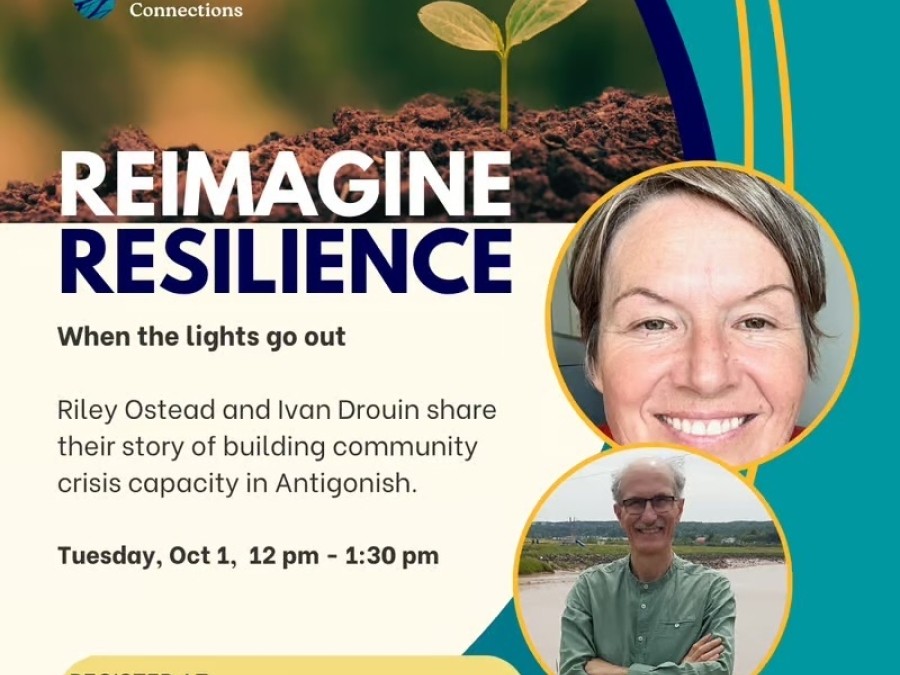 Reimagine Resilience poster aqua blue with a sprouting plant in soil. 