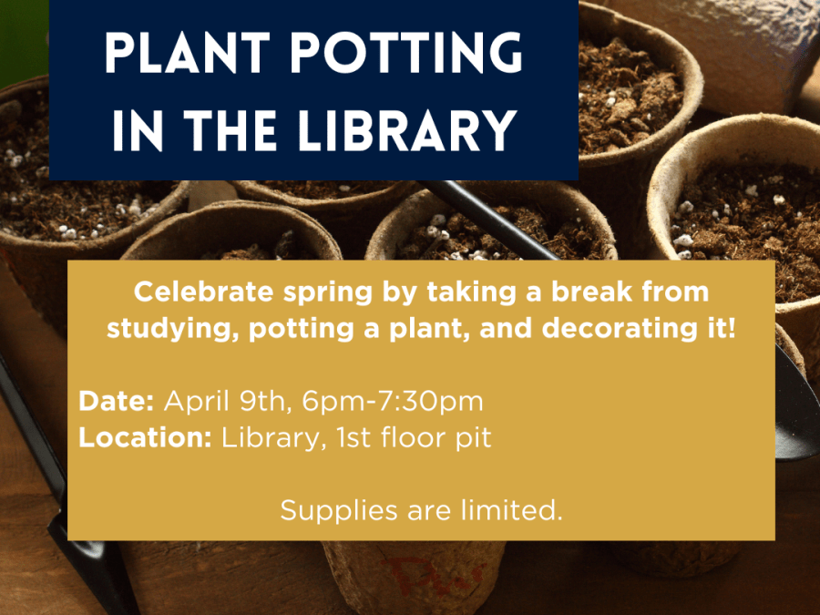 Promotion photo for library plant potting event. 