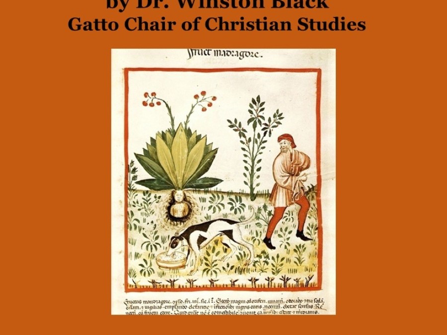 Man, dog and plant
