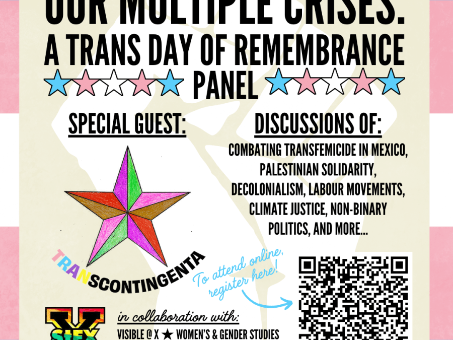 TDOR Panel information in event announcement, with a border in the trans pride colours, a QR code to register, a star, and the logo for the GDSA office