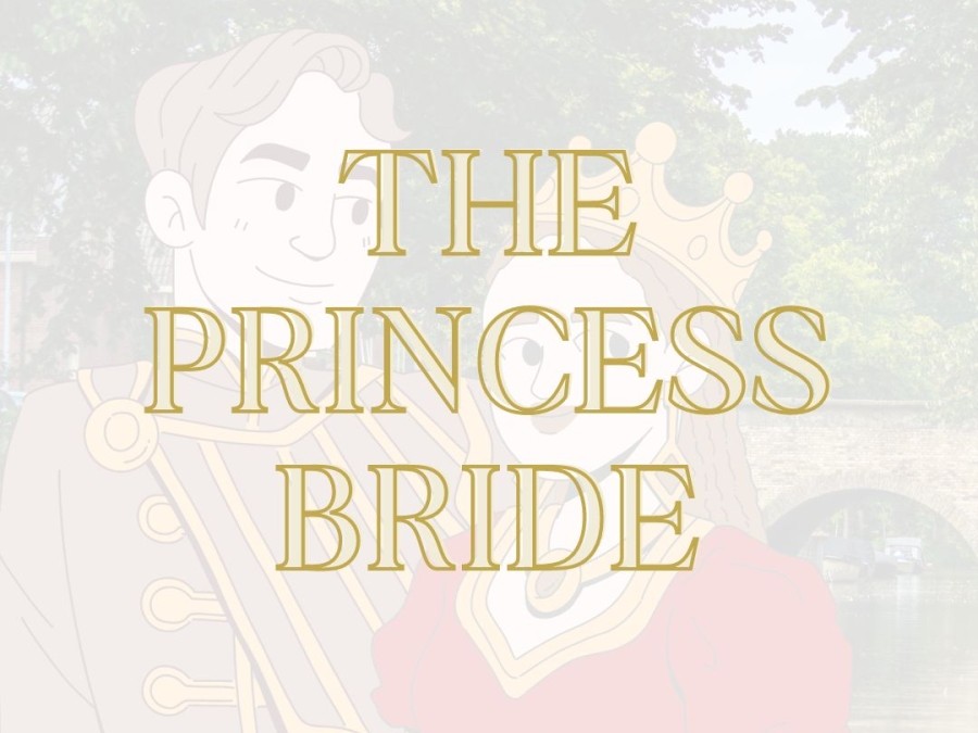  The image is a faint, stylized depiction of characters from "The Princess Bride," with the movie's title in bold script across the center.
